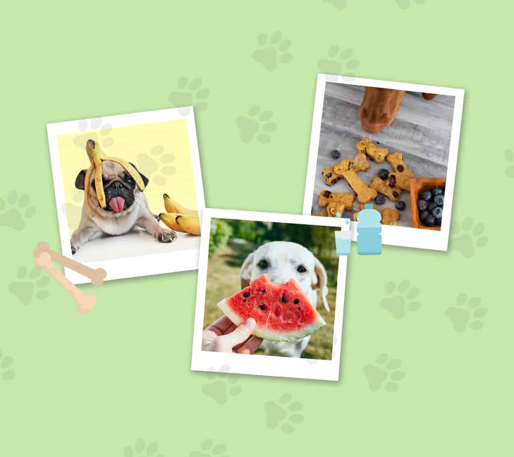 Plátanos. Ayudan a su salud ósea de tu perro